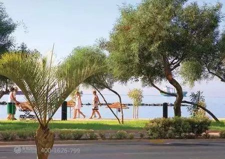 塞浦路斯島國(guó)