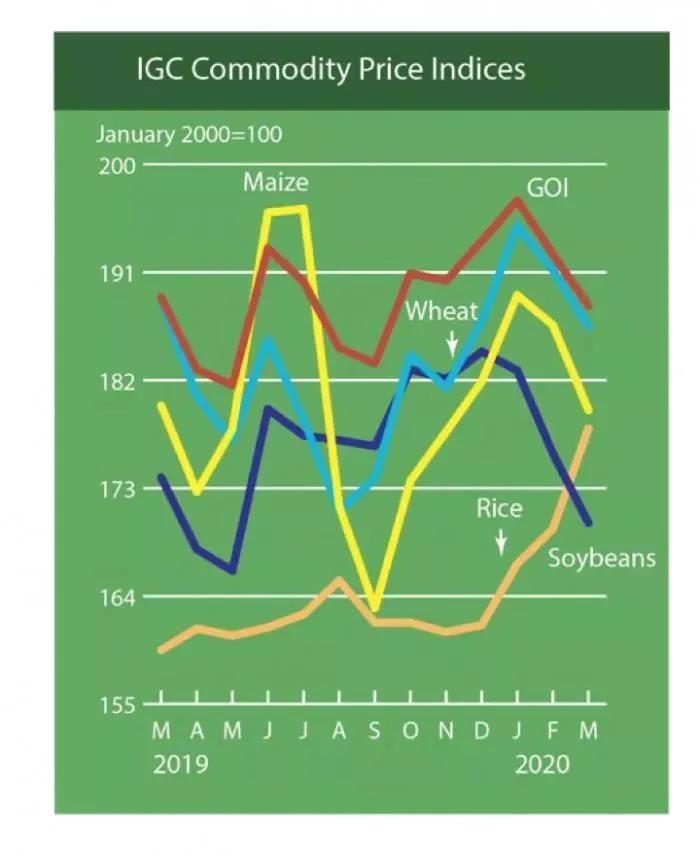 愛爾蘭數(shù)據(jù) 移民愛爾蘭